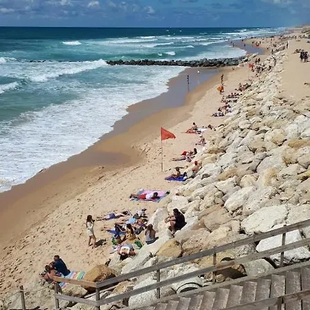 Entre Golf Et Ocean Pour 4 Personnes * Lacanau