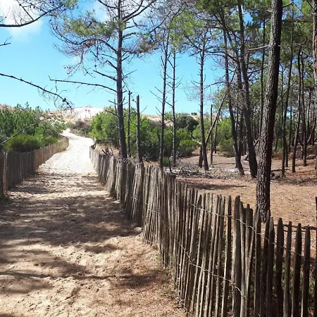 Entre Golf Et Ocean Pour 4 Personnes Apartment Lacanau